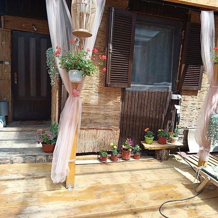 Kucica Za Odmor Lena I Matija Sremski Karlovci Exterior foto